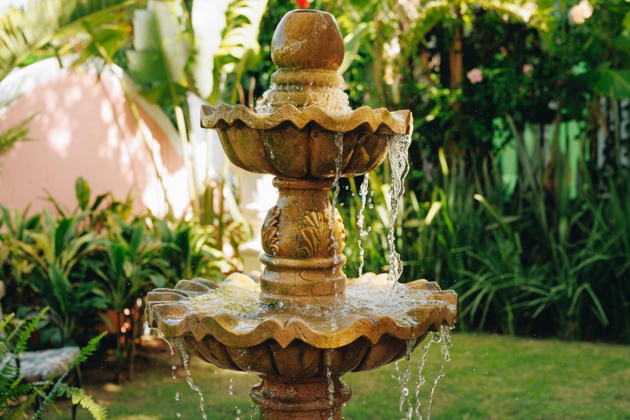 Hotel Boutique Quinta Das Videiras Florianópolis Exteriör bild
