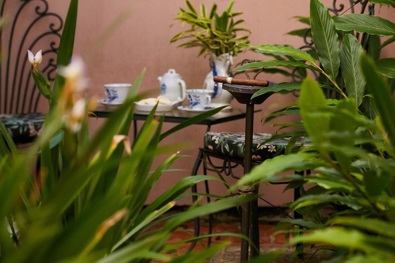 Hotel Boutique Quinta Das Videiras Florianópolis Exteriör bild