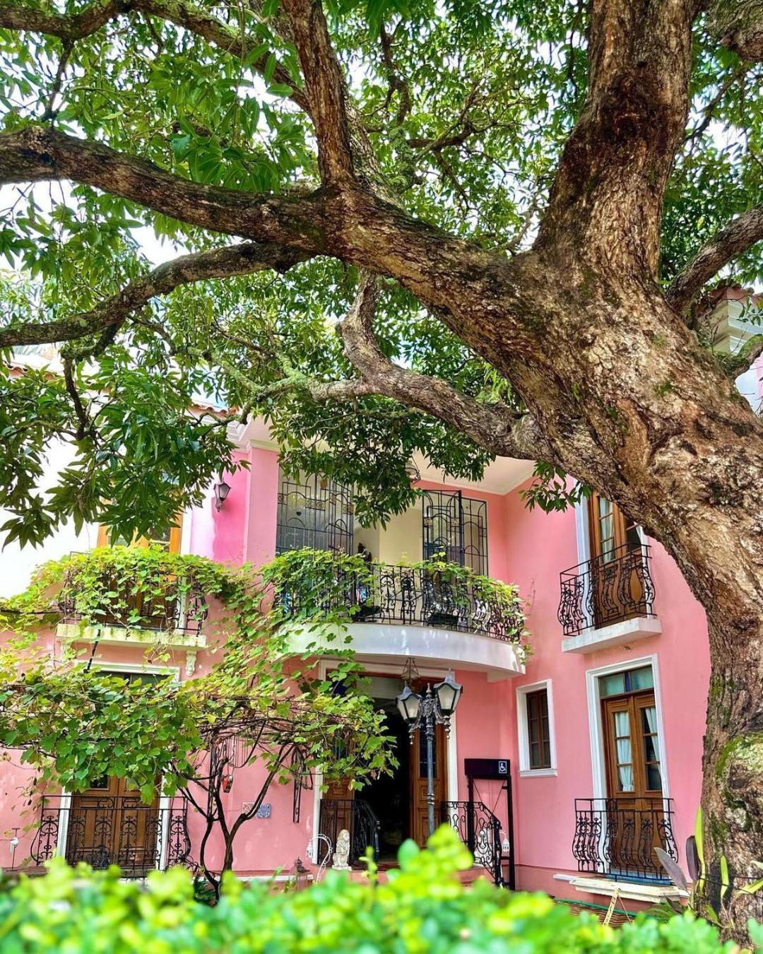 Hotel Boutique Quinta Das Videiras Florianópolis Exteriör bild